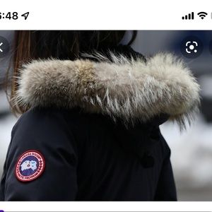 Canada Goose Fur Trim